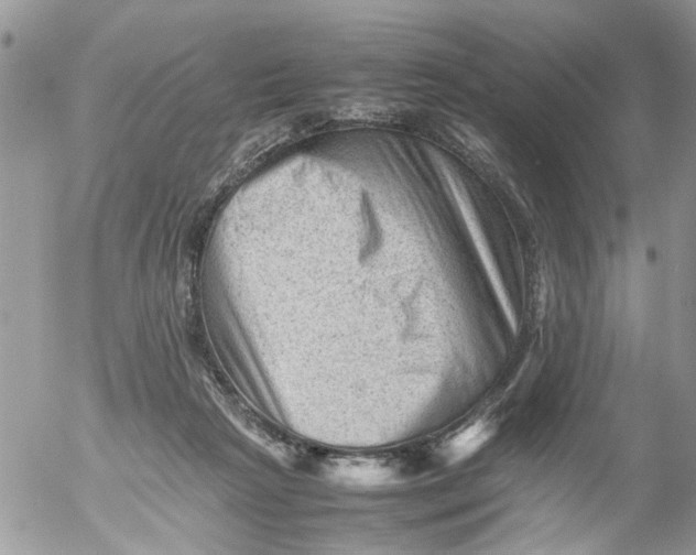 X0000053150265200508012317