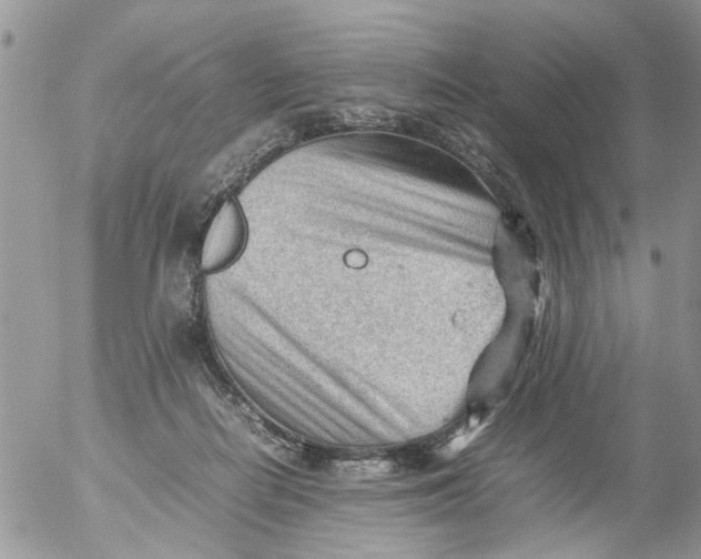 X0000053150266200508012317