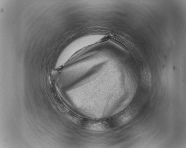 X0000053150267200508012317