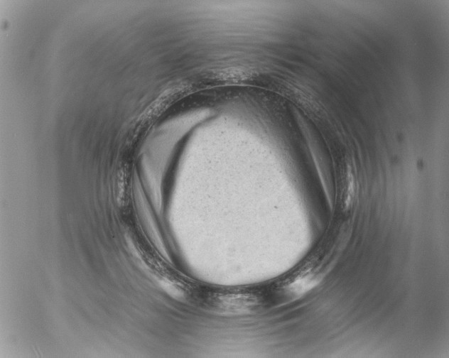 X0000053150268200508012317