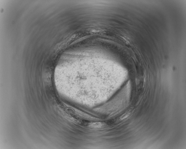 X0000053150269200508012317