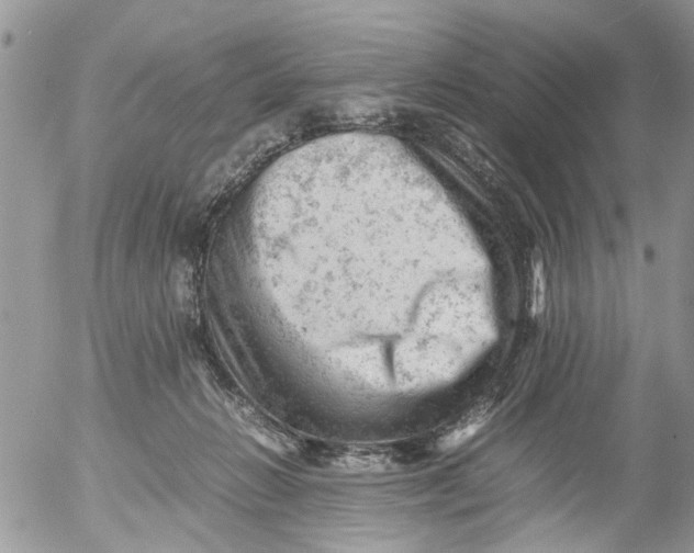 X0000053150270200508012317