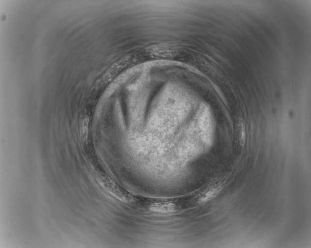 X0000053150271200508012318