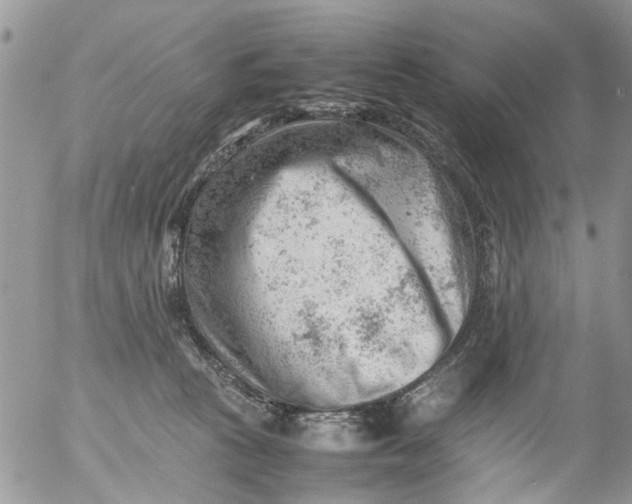 X0000053150273200508012318