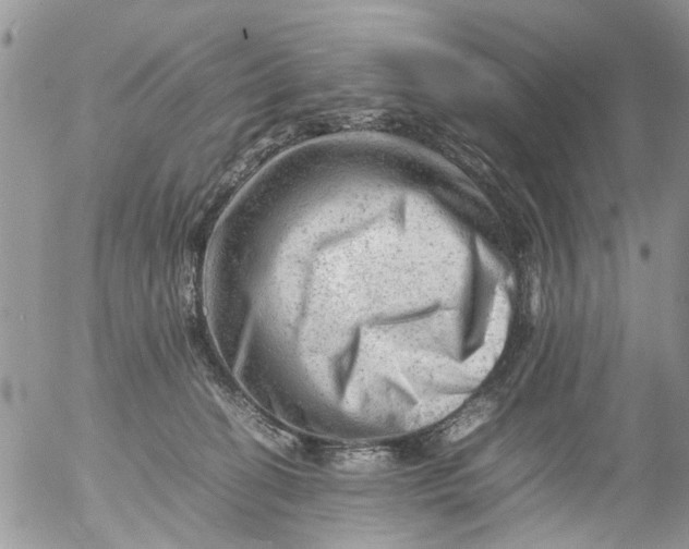 X0000053150274200508012318