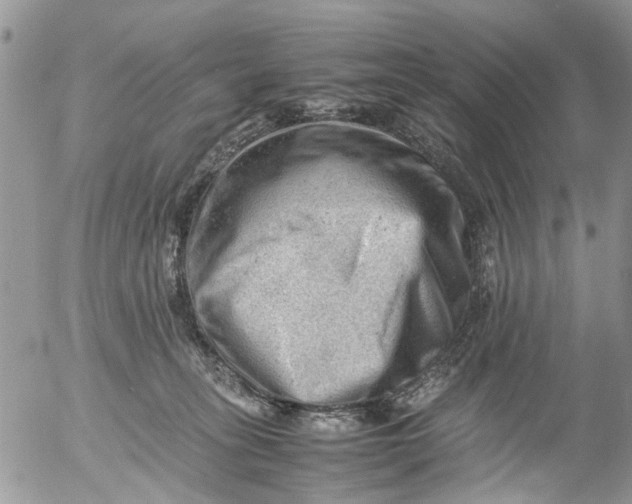 X0000053150275200508012318