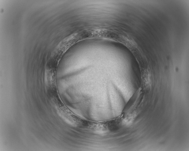 X0000053150276200508012318