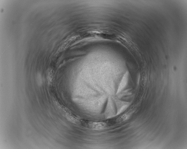 X0000053150277200508012318