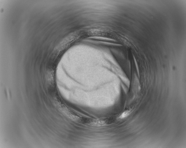 X0000053150278200508012318