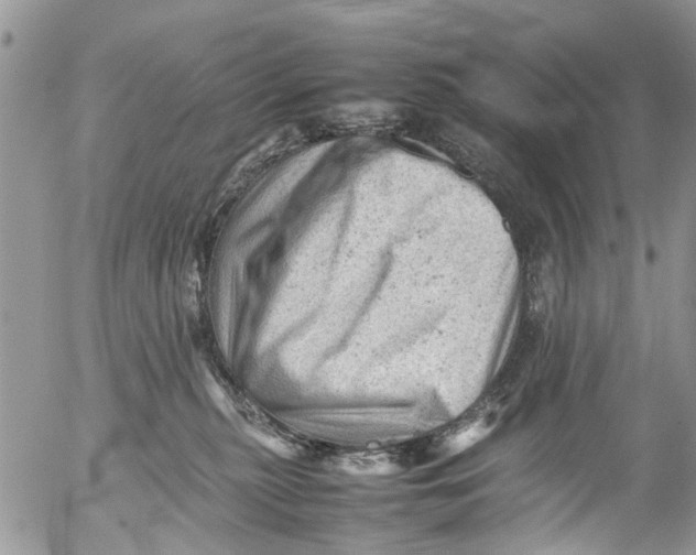 X0000053150279200508012318