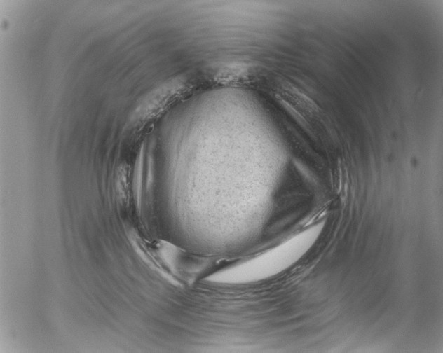 X0000053150280200508012318