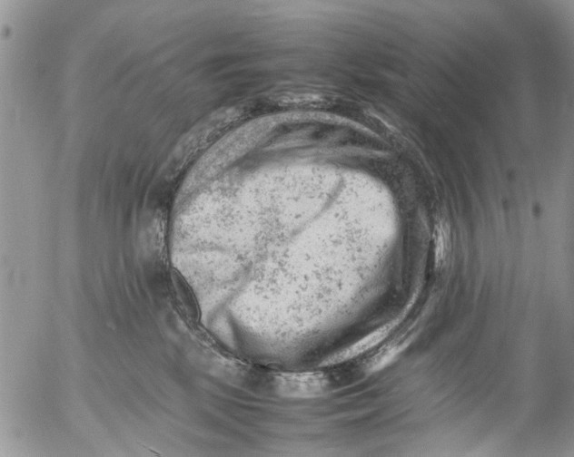 X0000053150281200508012318