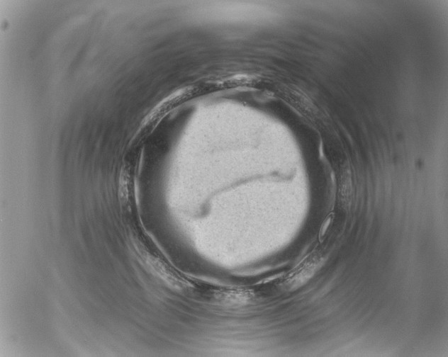 X0000053150282200508012318