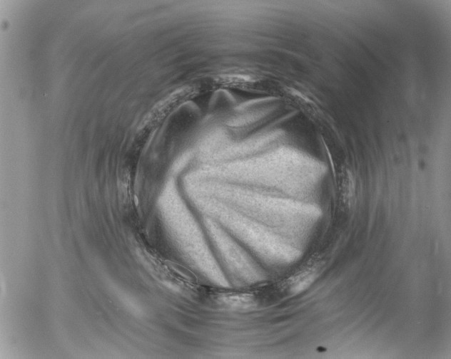 X0000053150283200508012318