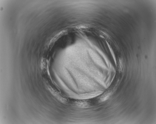 X0000053150284200508012318