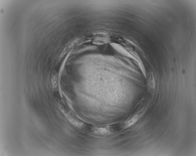 X0000053150285200508012318