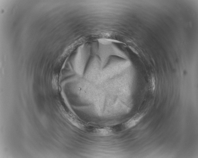 X0000053150286200508012318