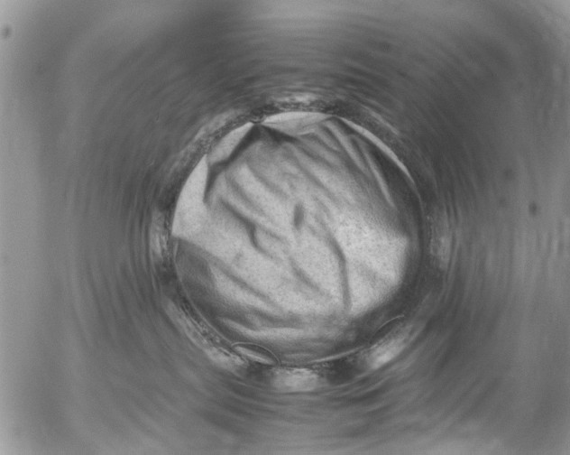 X0000053150287200508012318