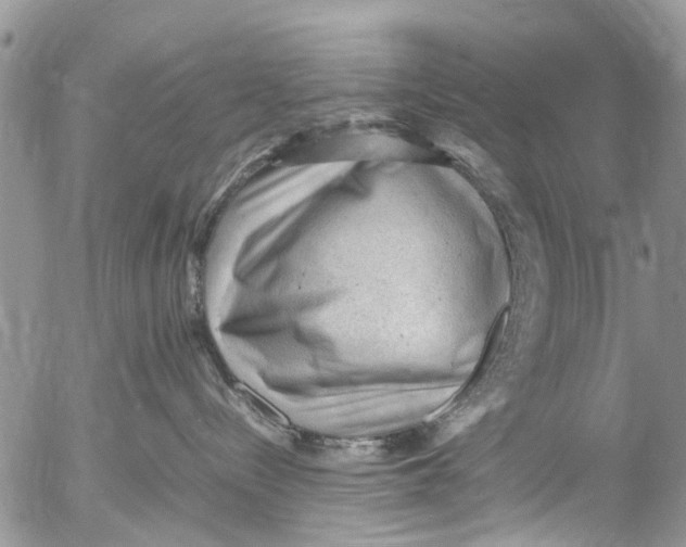 X0000053150288200508012318