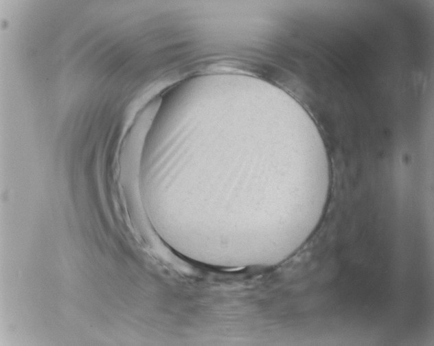 X0000053150289200508012317