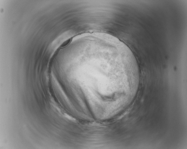 X0000053150290200508012317