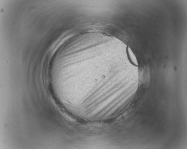 X0000053150291200508012317