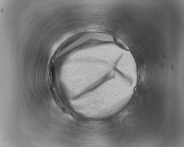 X0000053150292200508012317