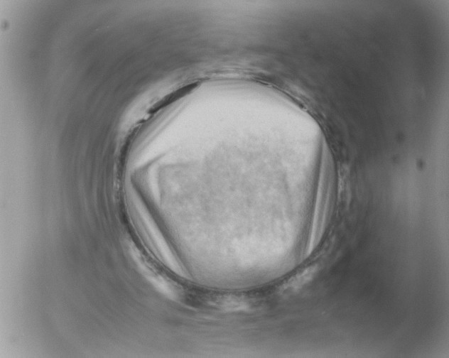 X0000053150293200508012317