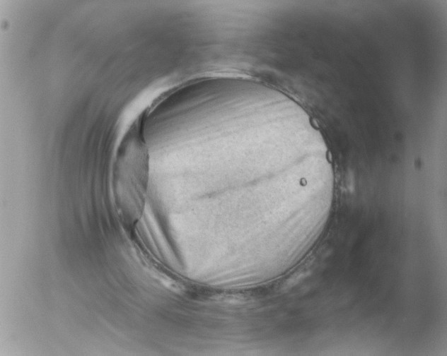 X0000053150294200508012317