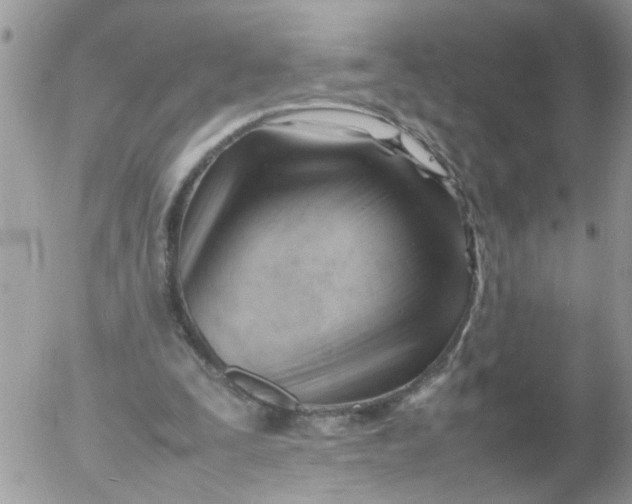 X0000053150295200508012317