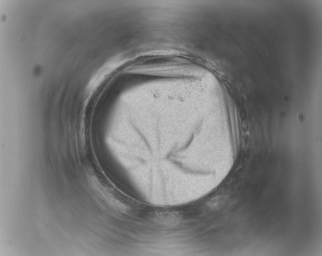 X0000053150296200508012317