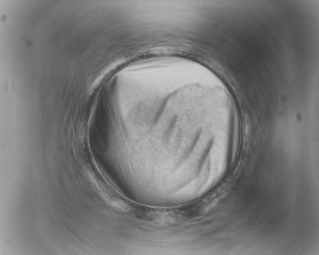 X0000053150297200508012317