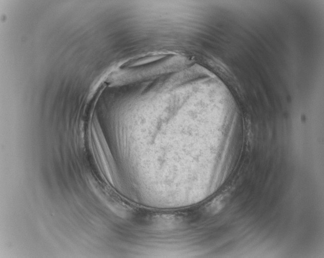 X0000053150298200508012317