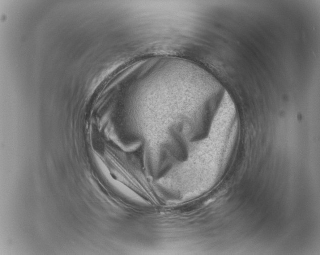 X0000053150299200508012317