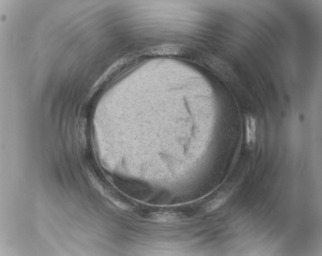 X0000053150300200508012317