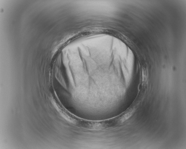 X0000053150301200508012317