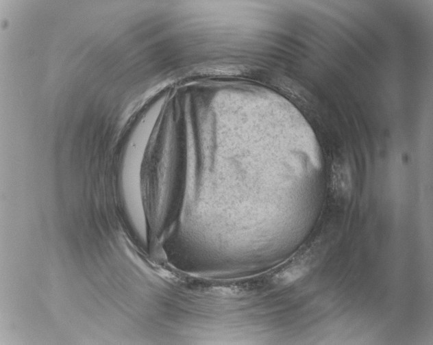 X0000053150302200508012317