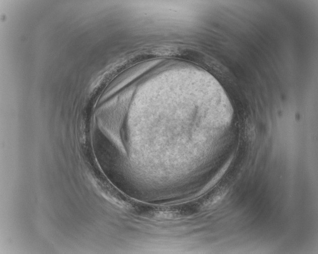 X0000053150303200508012317