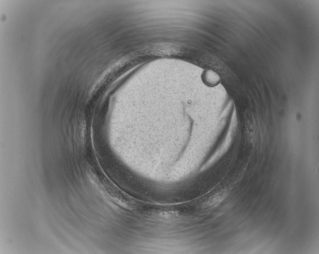 X0000053150304200508012317