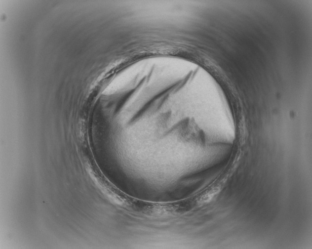 X0000053150305200508012317