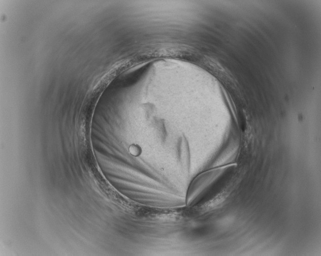 X0000053150306200508012317