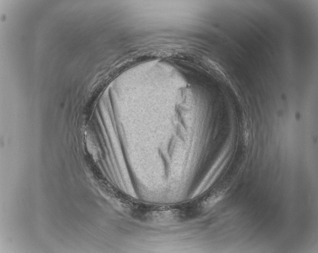 X0000053150307200508012317