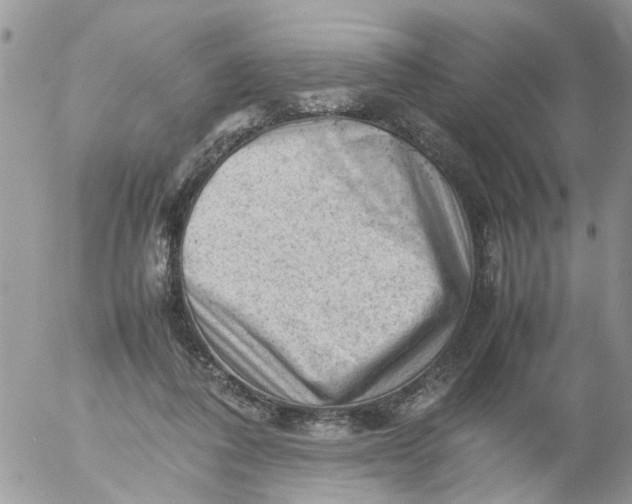 X0000053150308200508012317