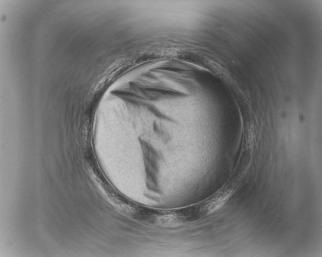 X0000053150309200508012317