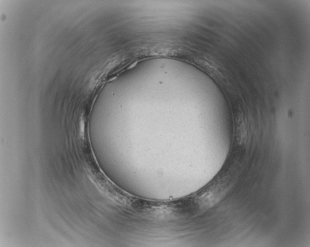 X0000053150310200508012317