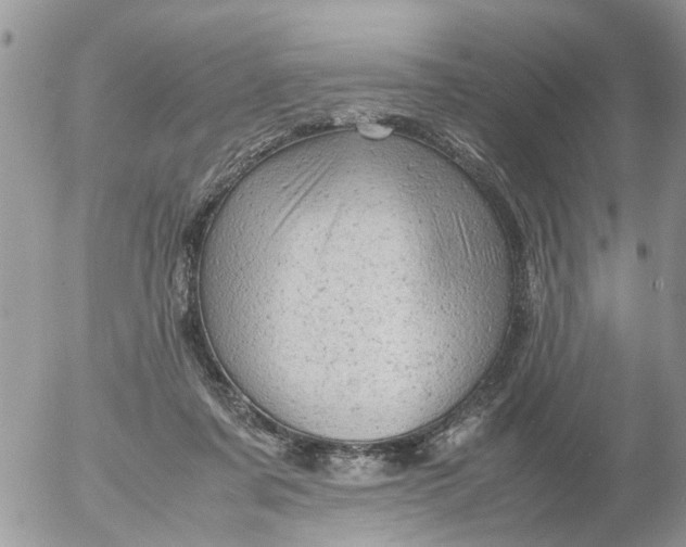 X0000053150311200508012316