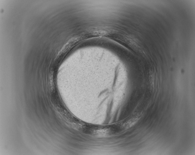 X0000053150312200508012316