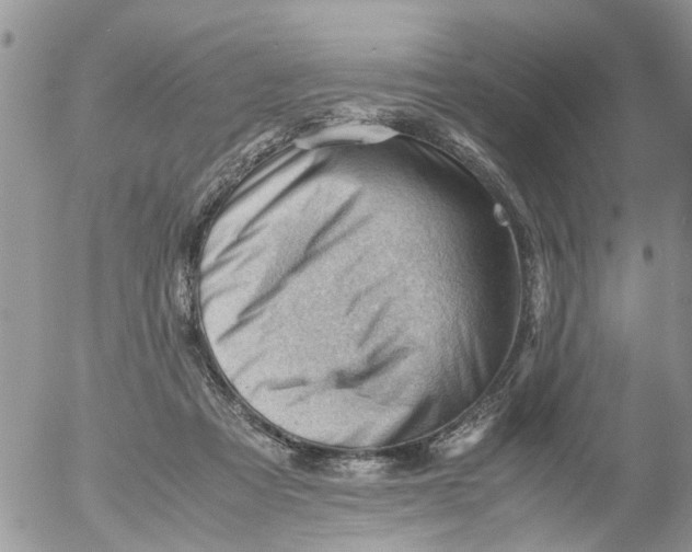 X0000053150313200508012316