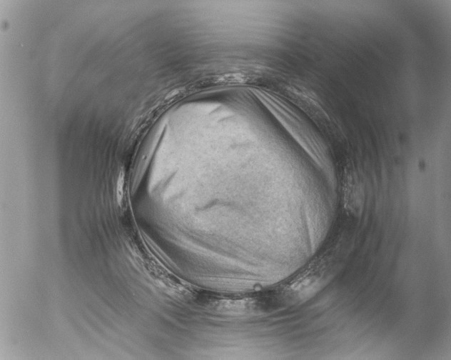 X0000053150314200508012316