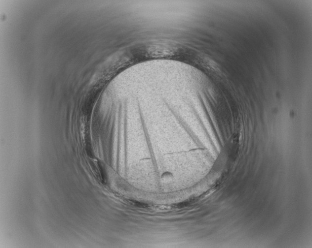 X0000053150315200508012316